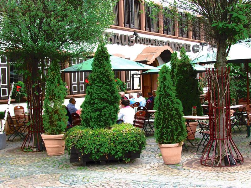 Hotel zum Goldenen Ochsen - Housity