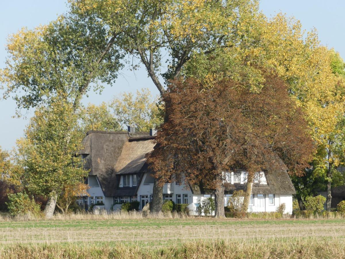 Landhaus am Haff - Housity