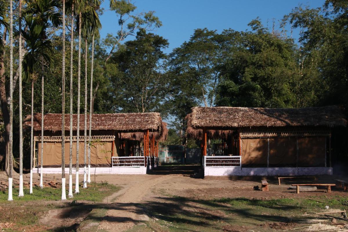 Kaziranga Eco Camp - Housity