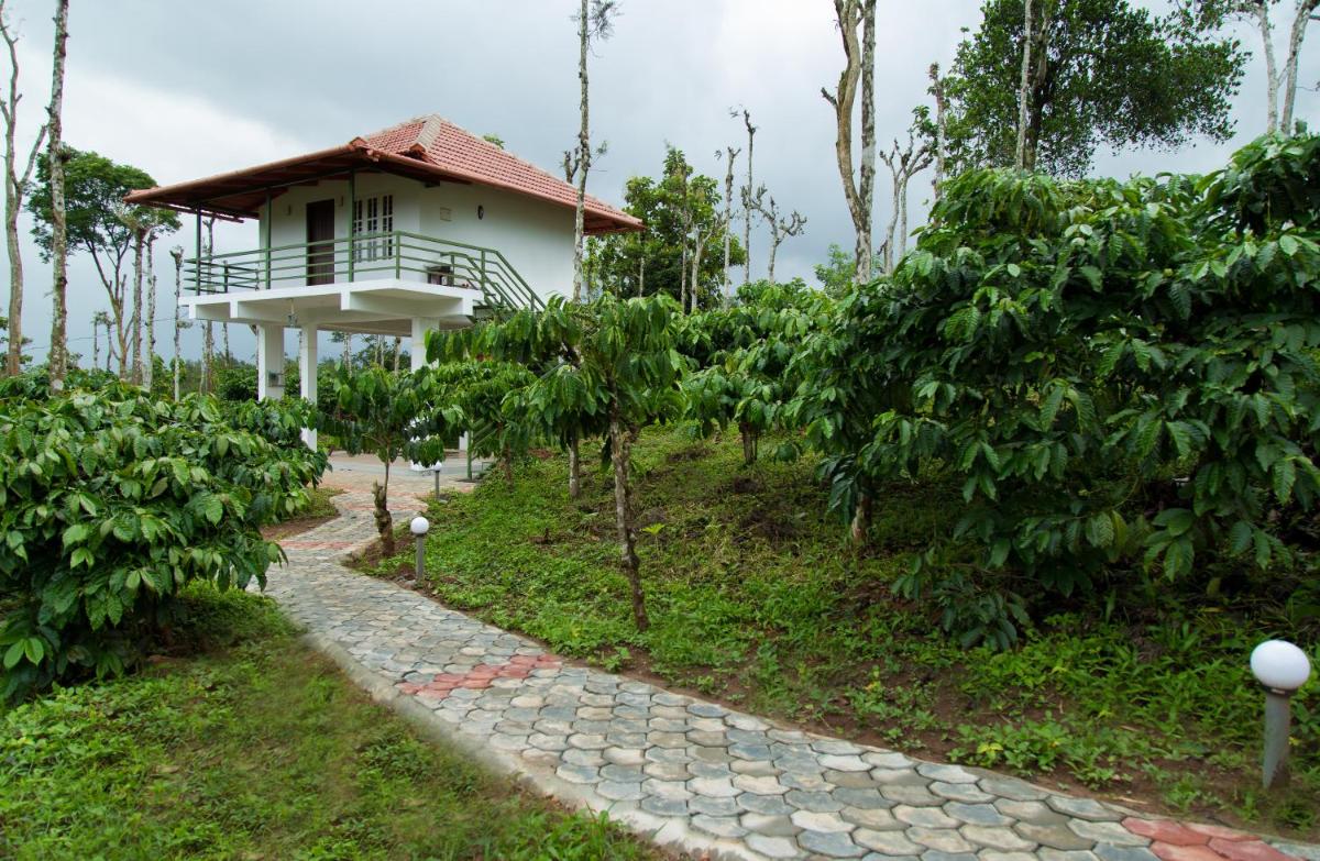 THE SUVISTARA WAYANAD KERALA - Housity