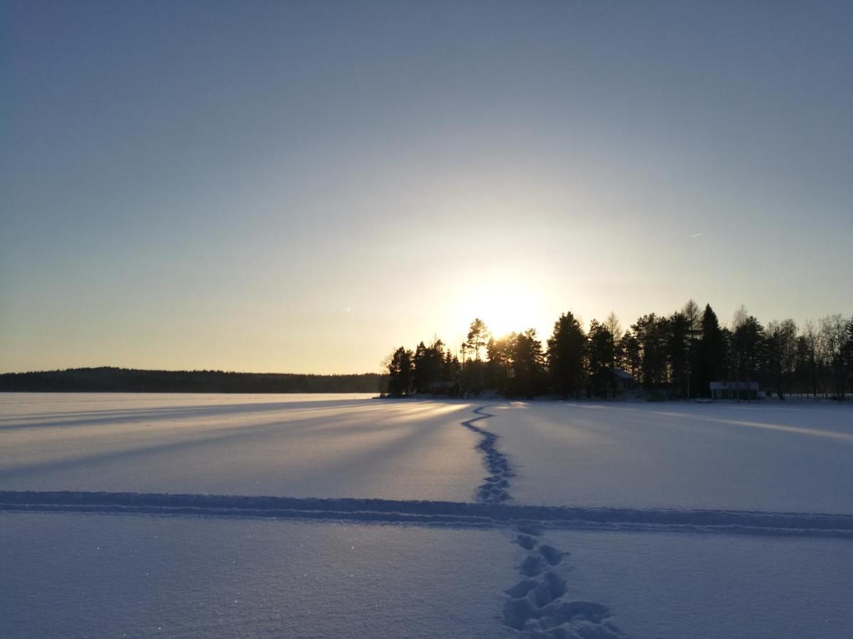 Halkolanniemi - Housity