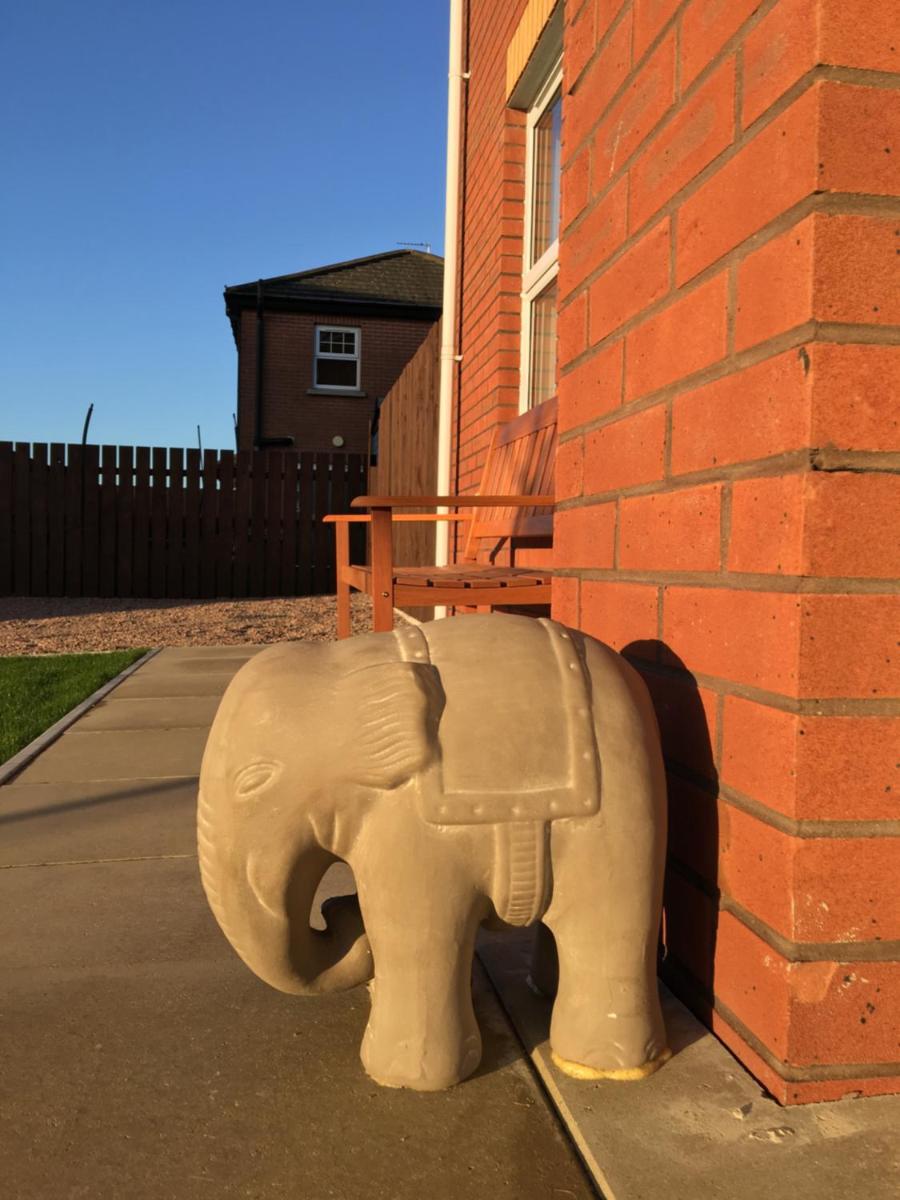 Luxury Portrush Holiday Homes - The Grove, Portrush Sleeps 14 - 6 bedrooms - Housity