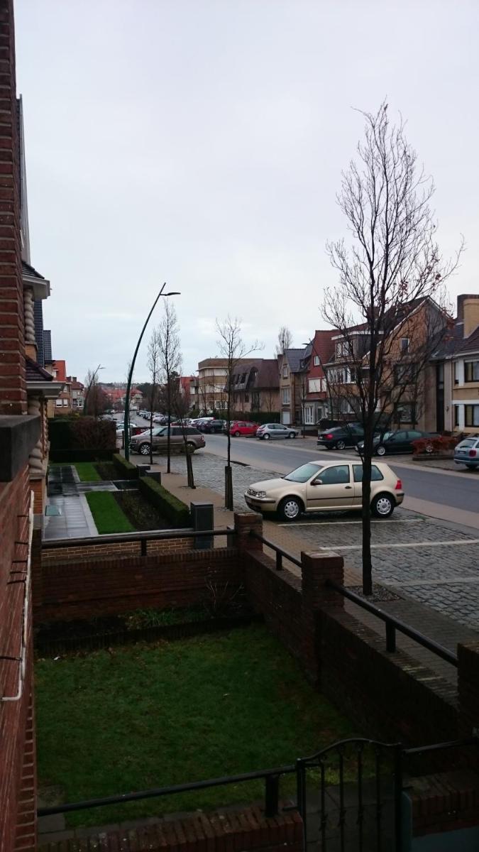 Soucis au vent - Housity