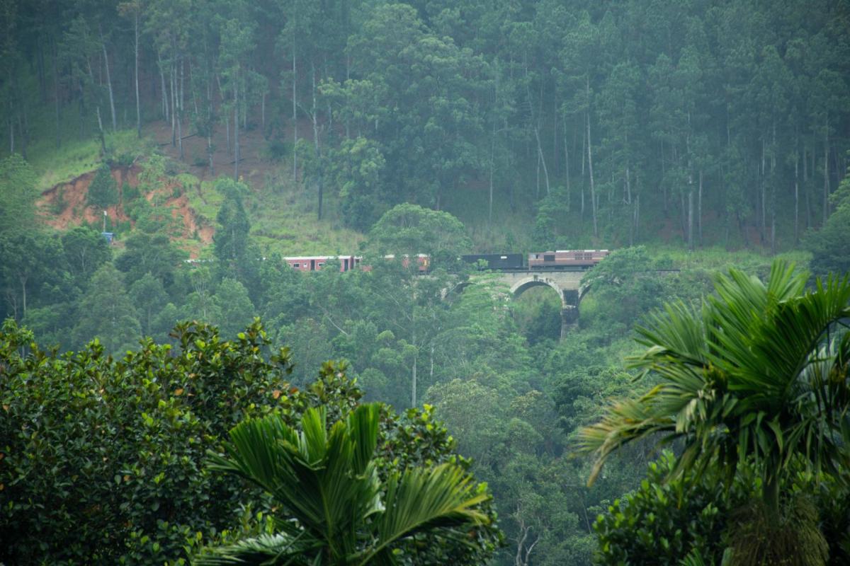 Dew Lee Homestay - Housity