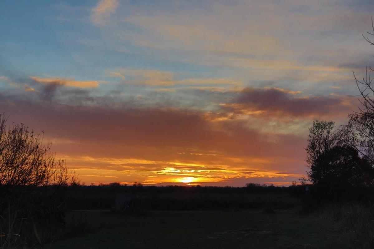 Zum-Butterstock - Housity