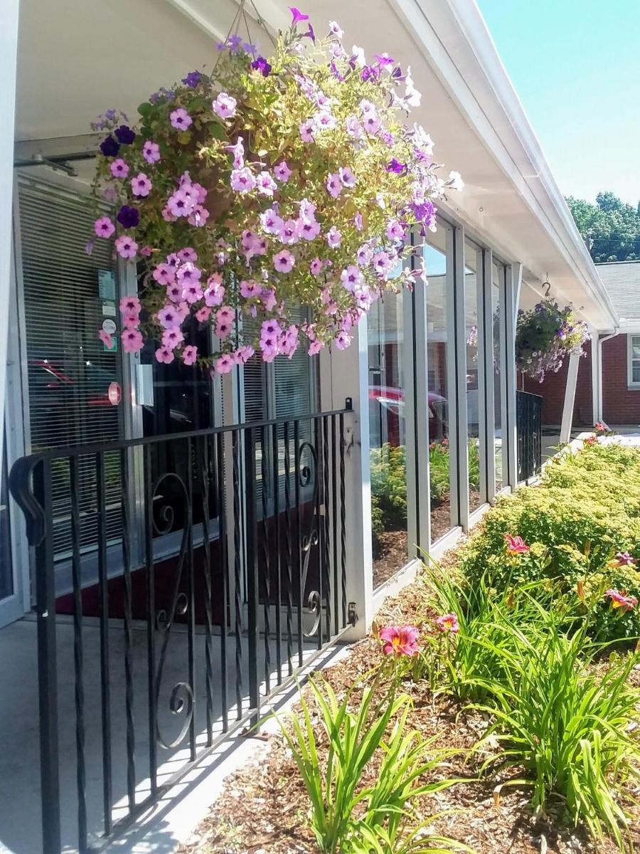 Bay Motel - Housity