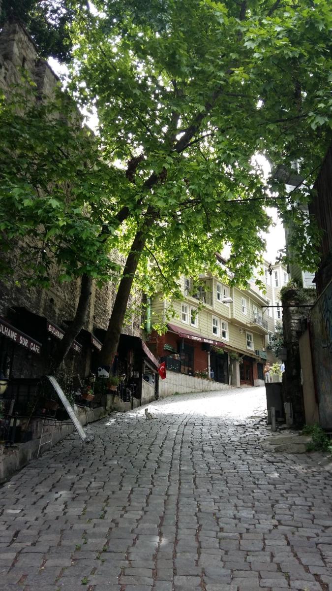 Coskun House - Housity