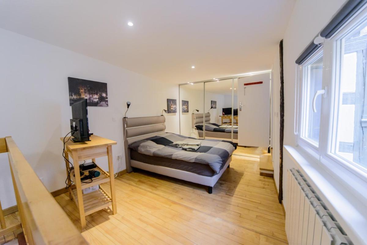 Cosy & quiet flat in historical lively center of Strasbourg - Housity