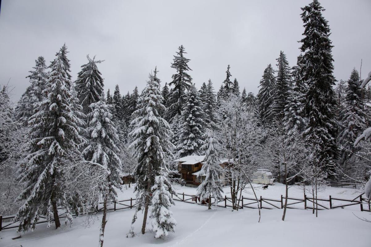 Victoria Hotel Borovets - Free Parking - Housity