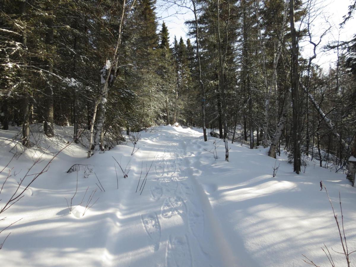 Résidence touristique Lodge des Bois - Housity