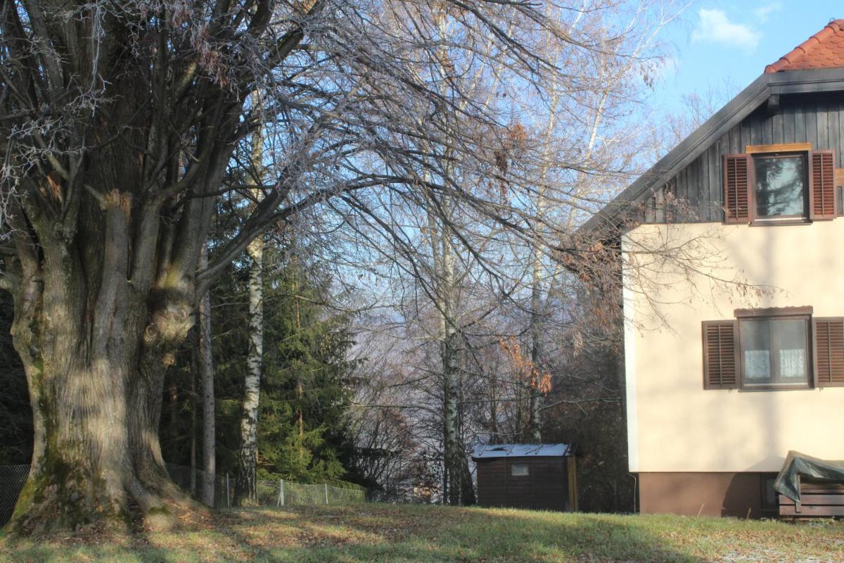 Holiday Home Winzerhaus Eva - Housity
