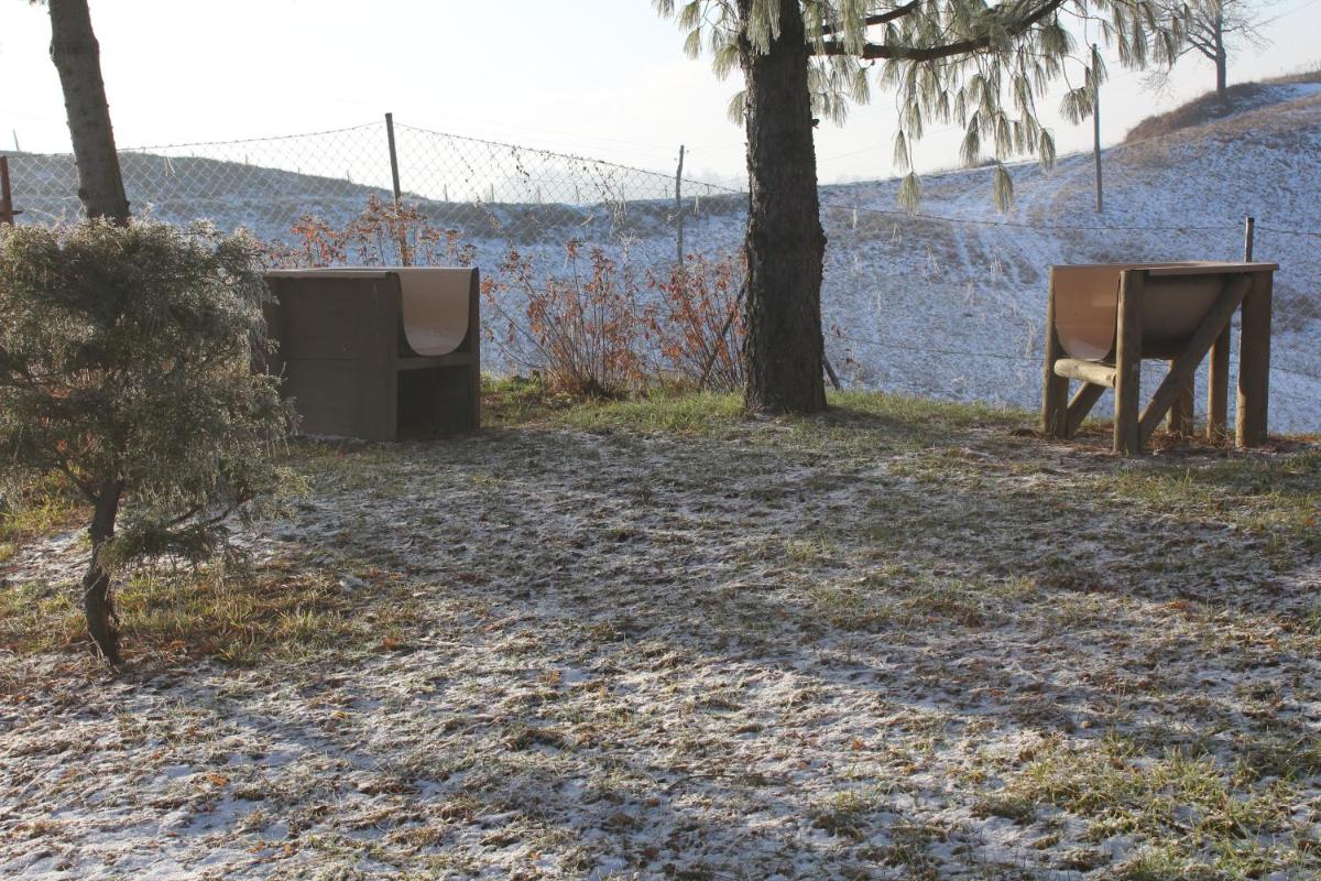 Holiday Home Winzerhaus Eva - Housity