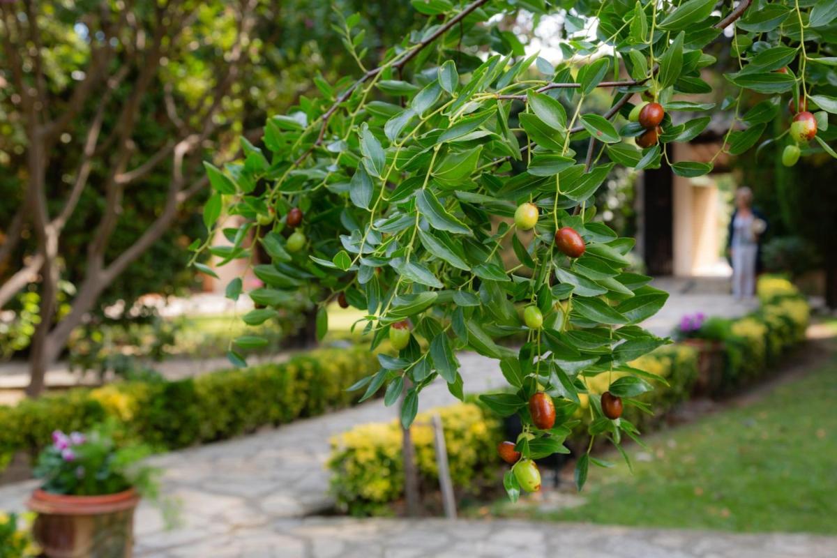 Jardin de l'établissement Auberge de Cassagne & Spa