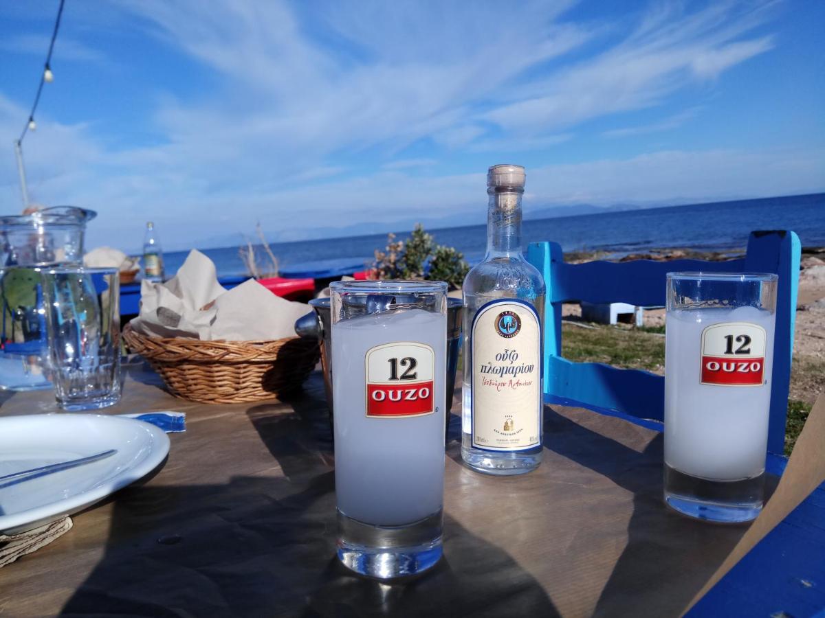 Suitetrails - Georgias house 7 min from Athens airport