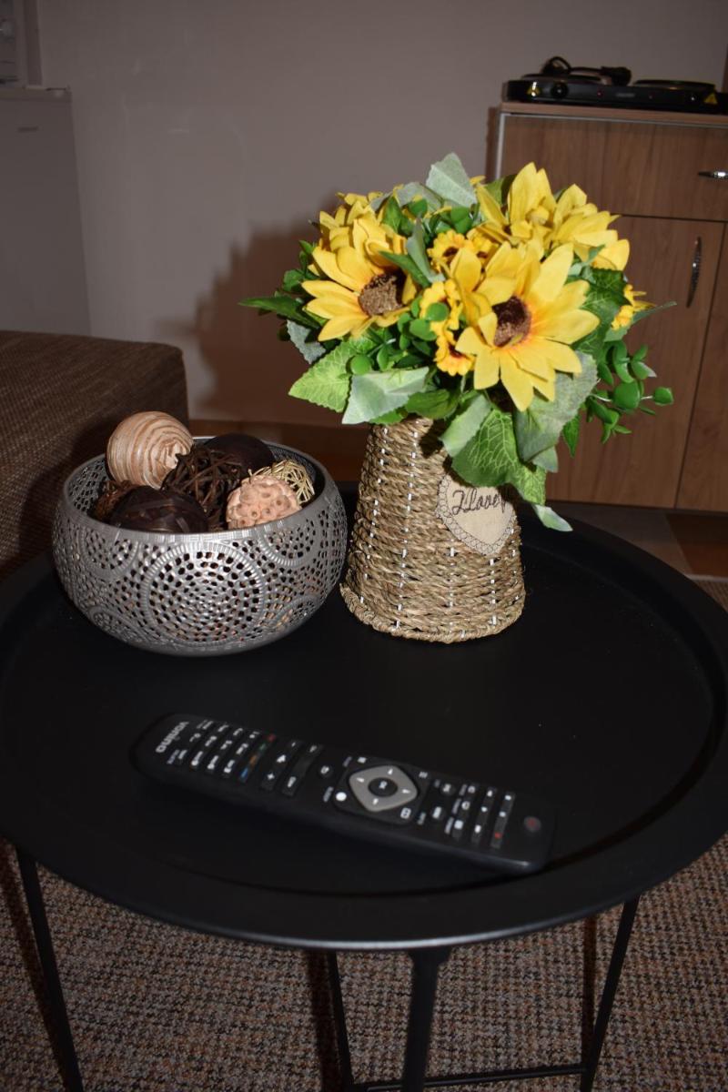 Apartament Zimbru - Housity