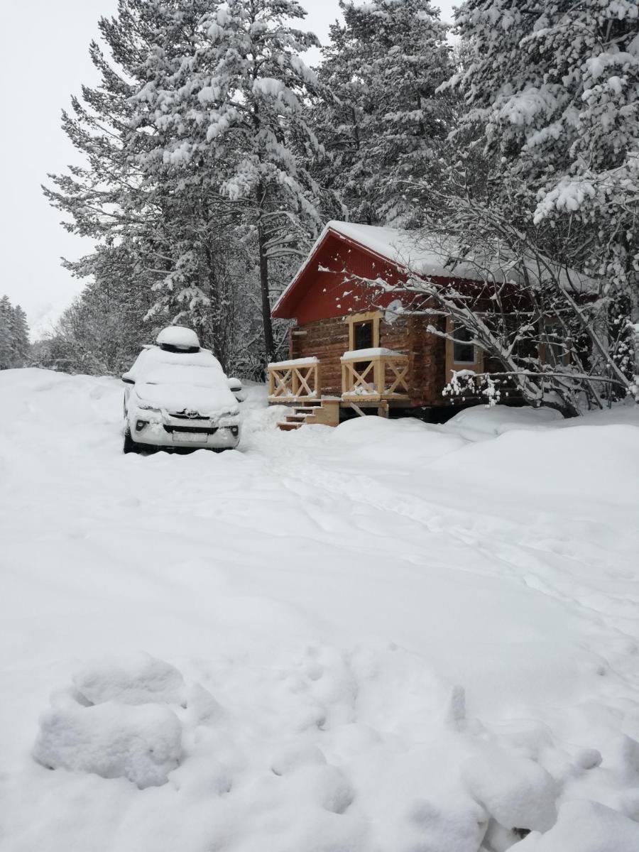 Forest House - Housity