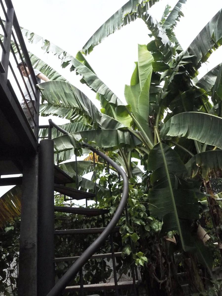 Bann Rai Klai Weang Homestay - Housity