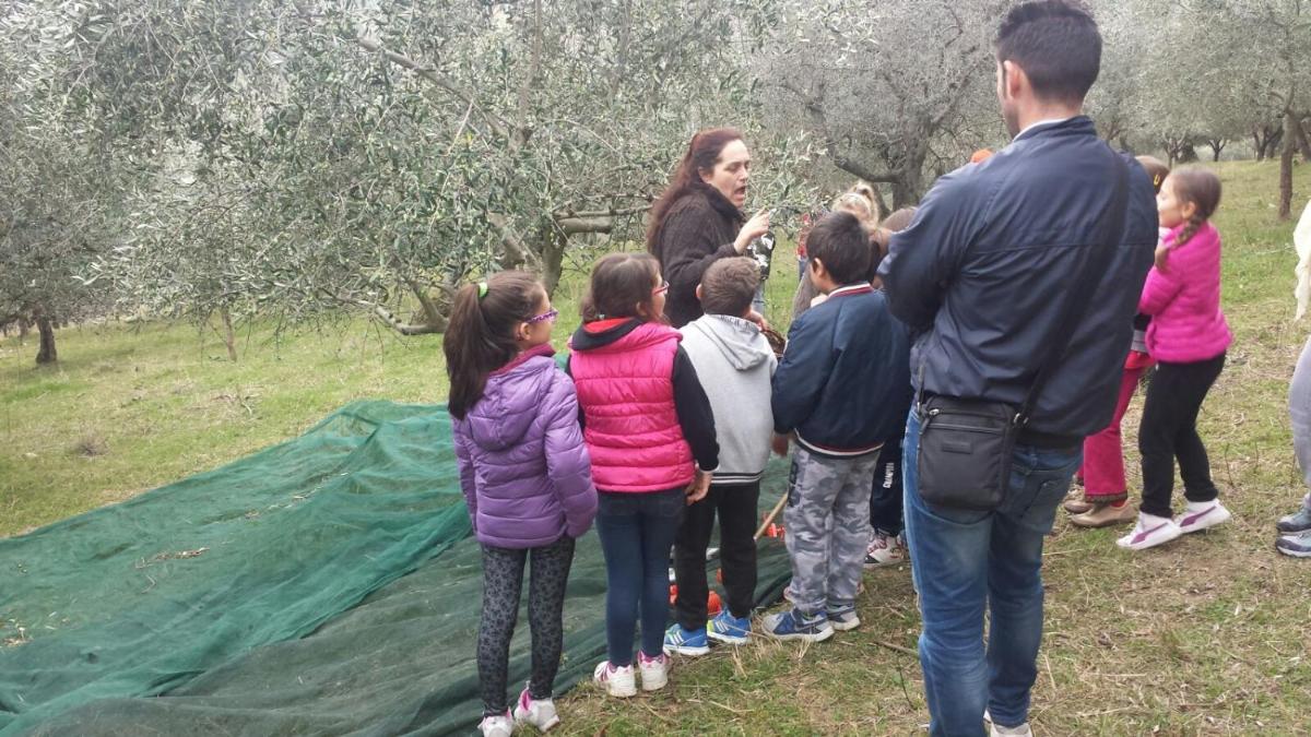 Società Agricola F.lli Angelucci - Housity