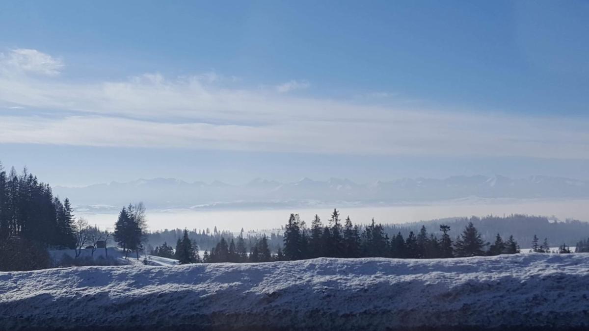 Staś -przy szkole nr 3 w Skawie - Housity
