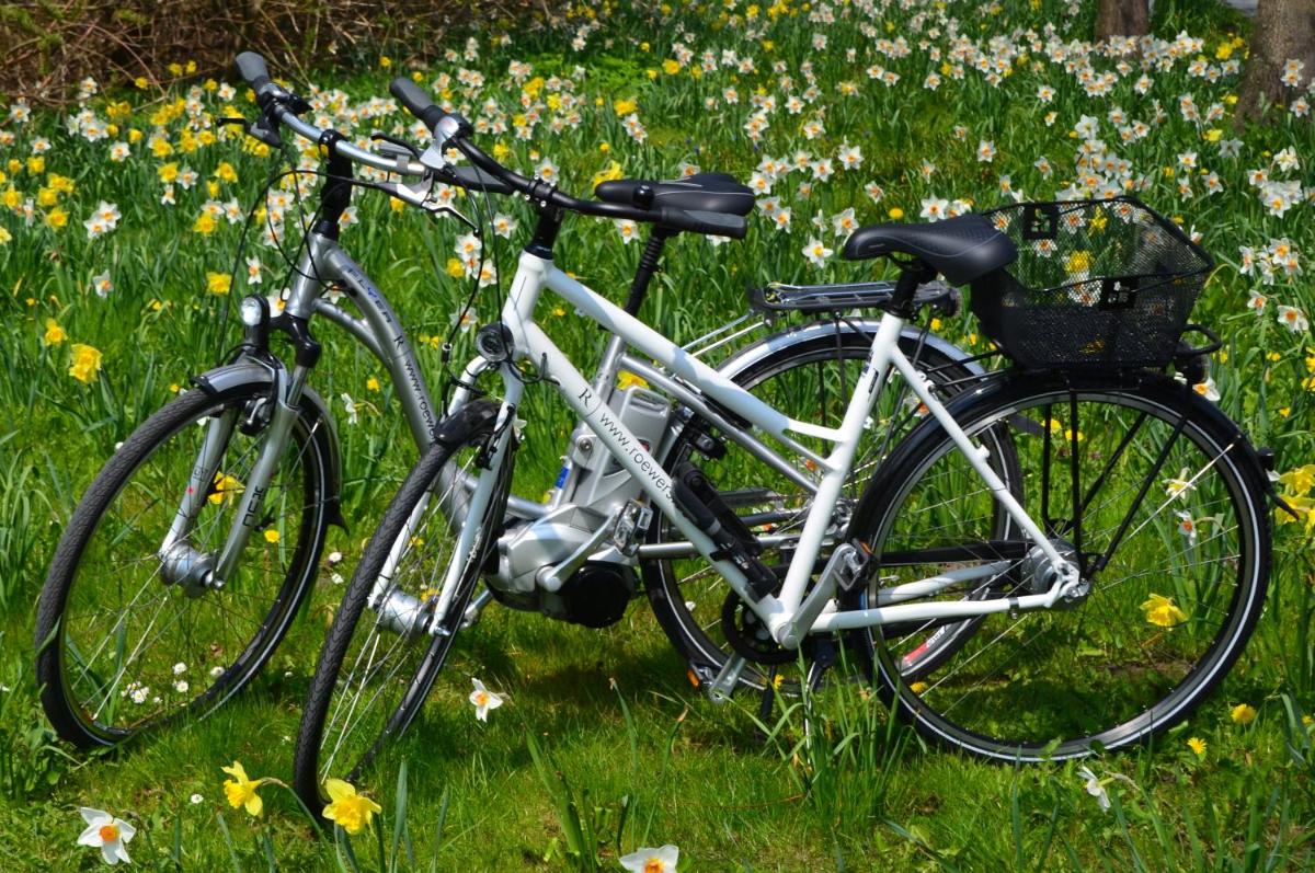 Radfahren an der Unterkunft ROEWERS Privathotel & Spa oder in der Nähe