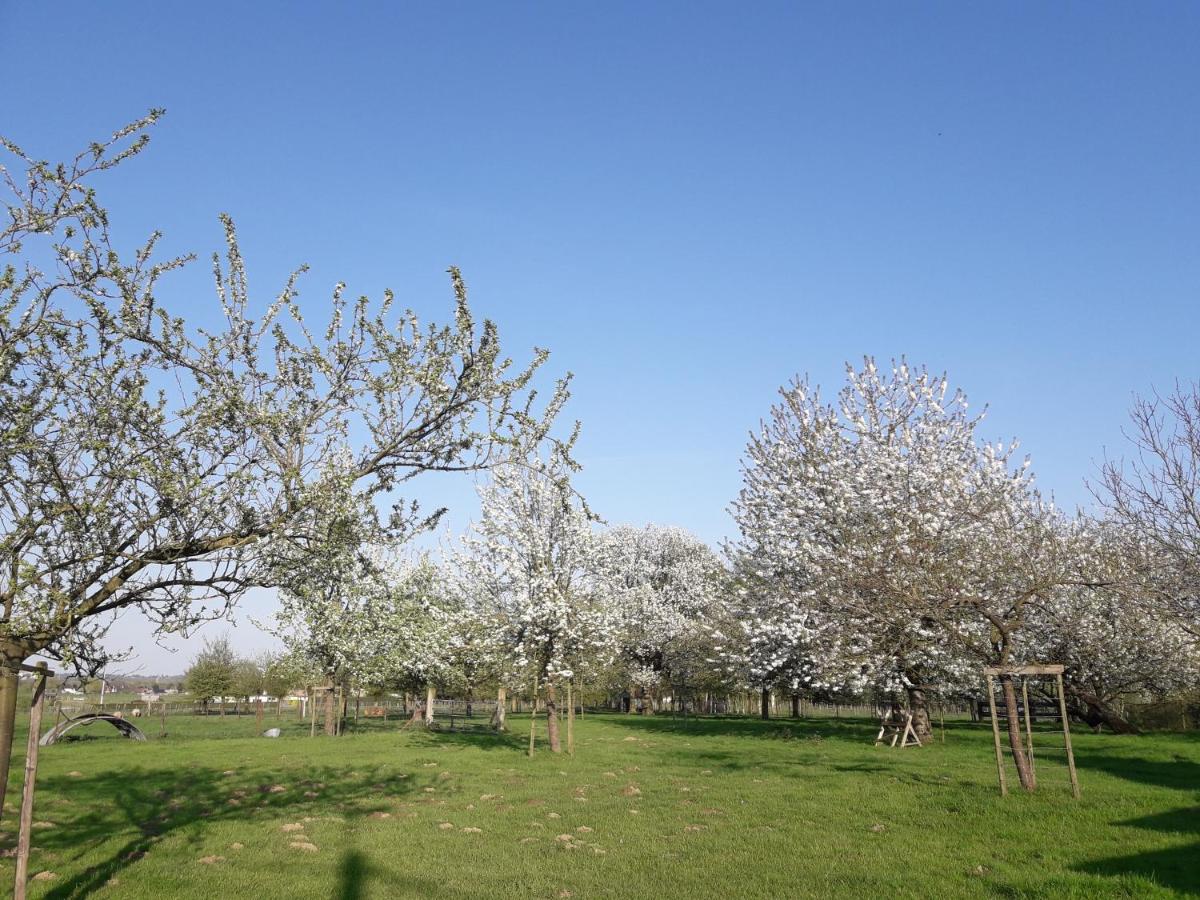 B&B Mussenzele - Housity