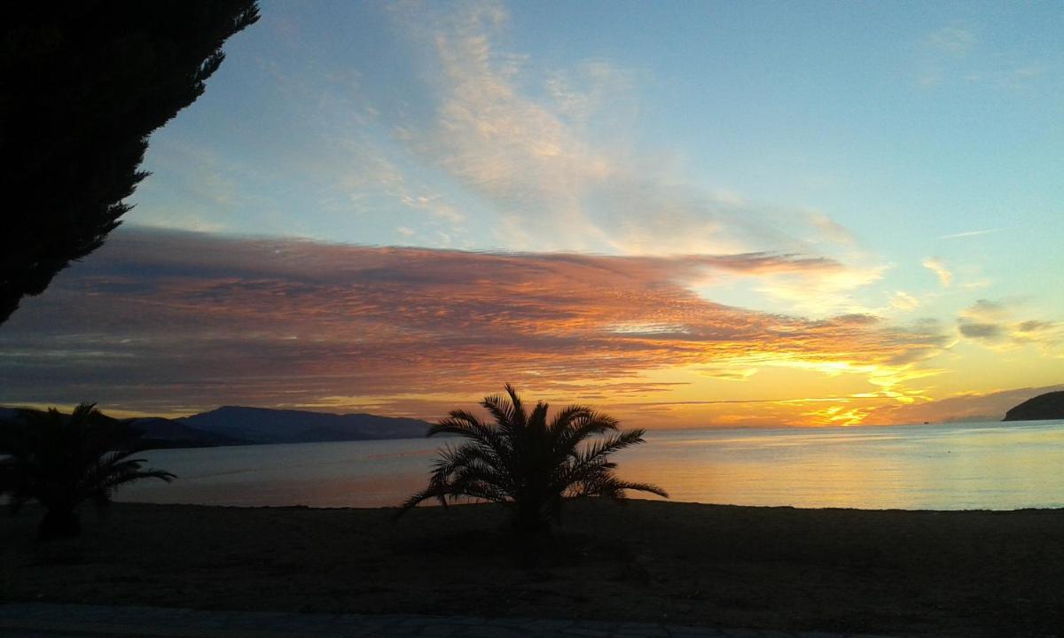 Sea to See - Housity