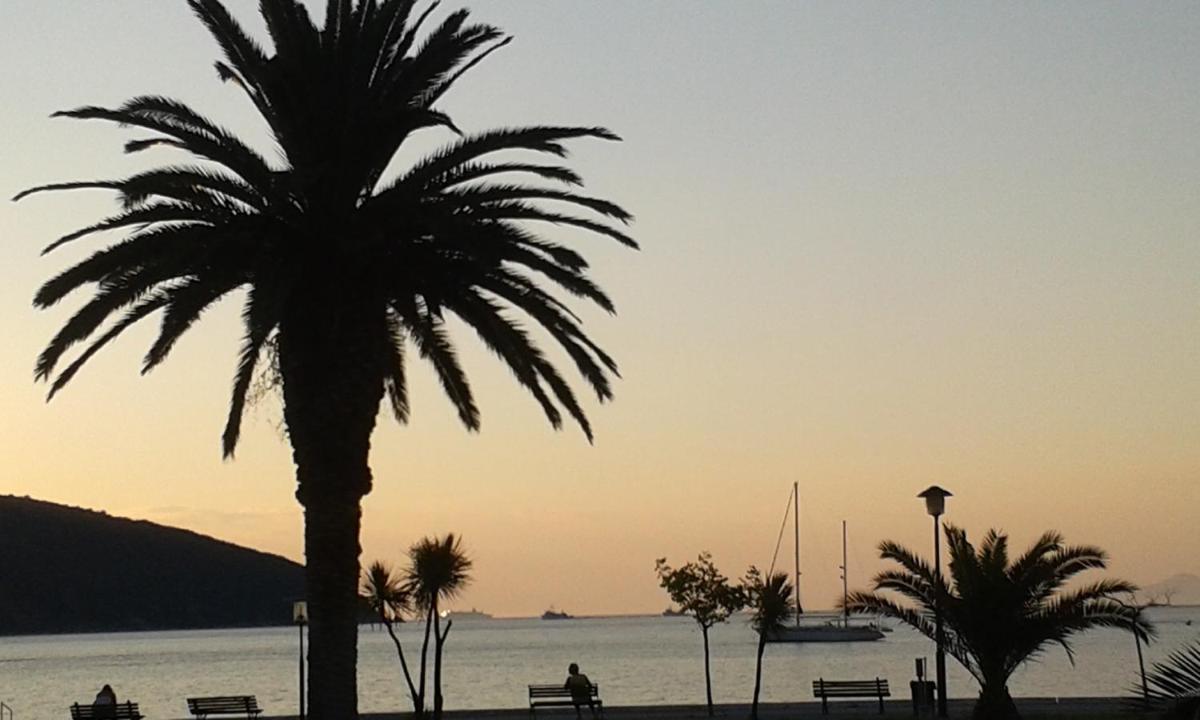 Sea to See - Housity