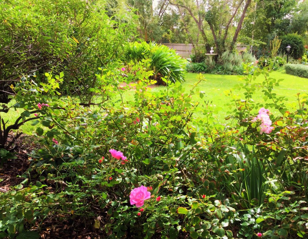 Bindley House B&B Cottage - Housity