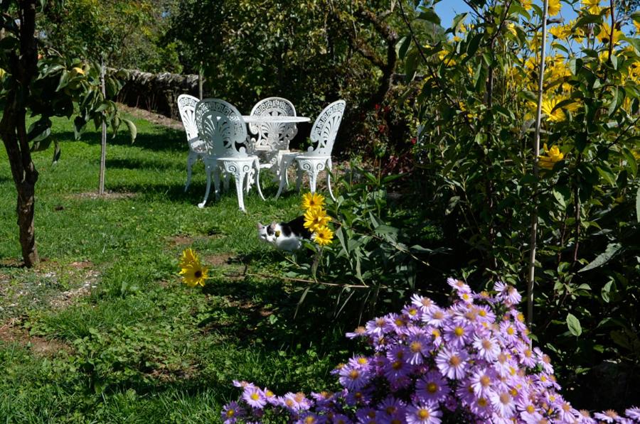LES HAUTS DU CAUSSE - Housity