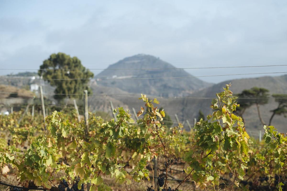Casa Rural La Higuera Mayor - Housity