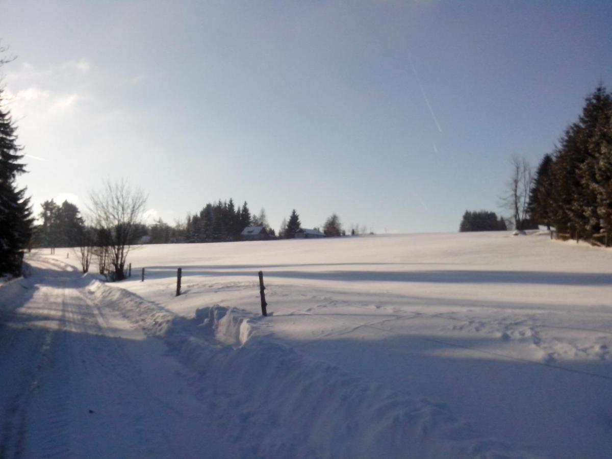 Apartment-Chalet-Chaloupka U Trnků - Housity