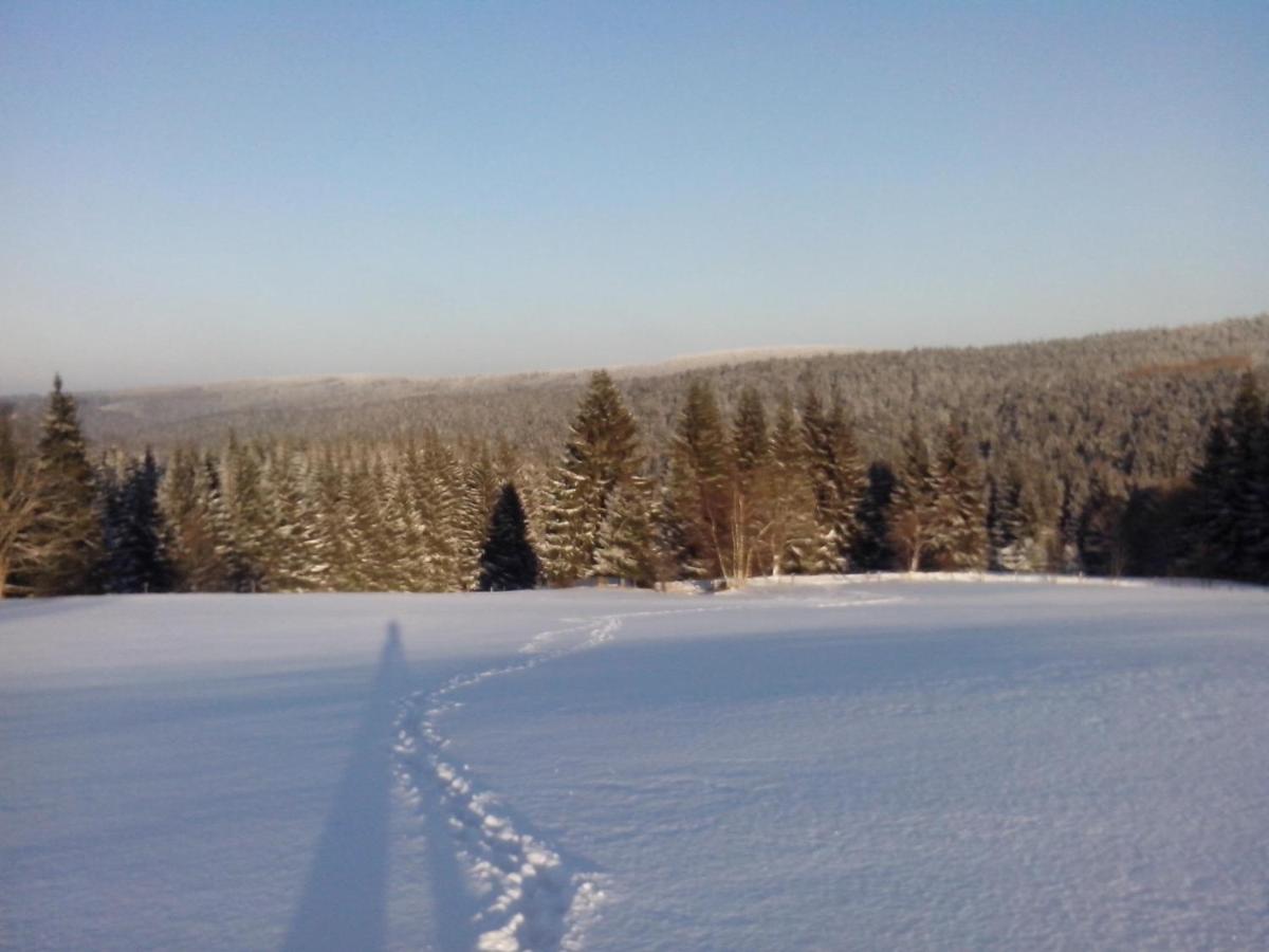 Apartment-Chalet-Chaloupka U Trnků - Housity