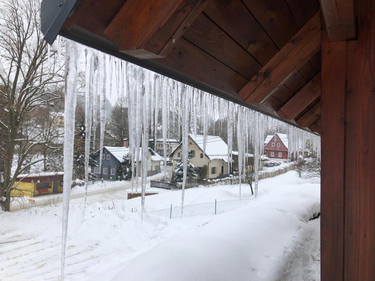 Modern chalet Na Zlatníku - Housity