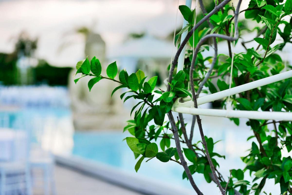 Villa La Fenice - Housity