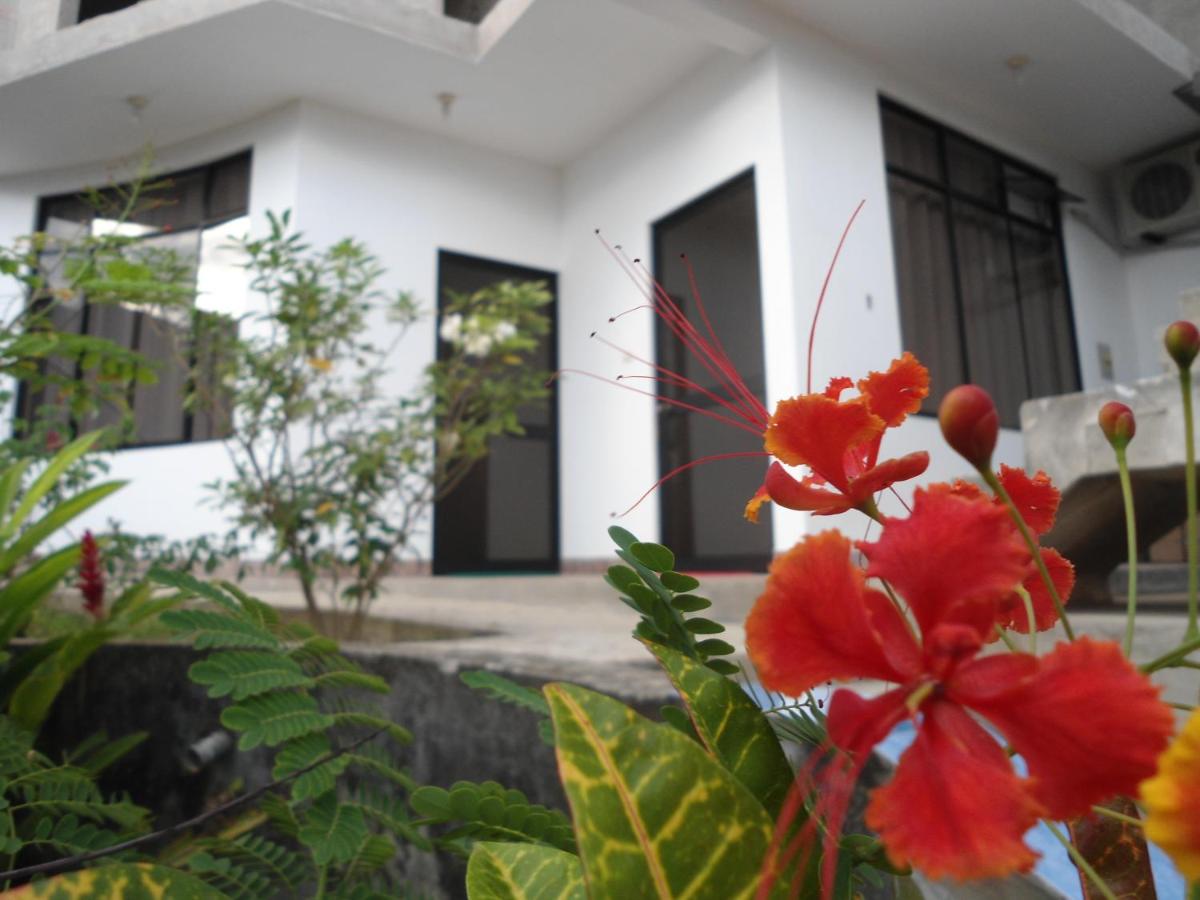 El Mirador - Housity