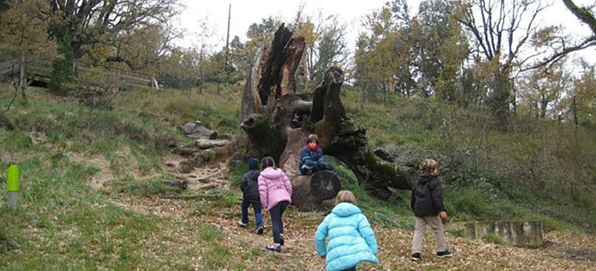 Apartamentos San Cristobal - Housity