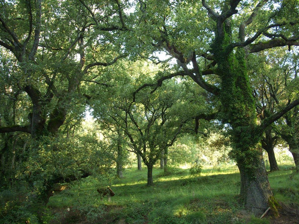 Apartamentos San Cristobal - Housity