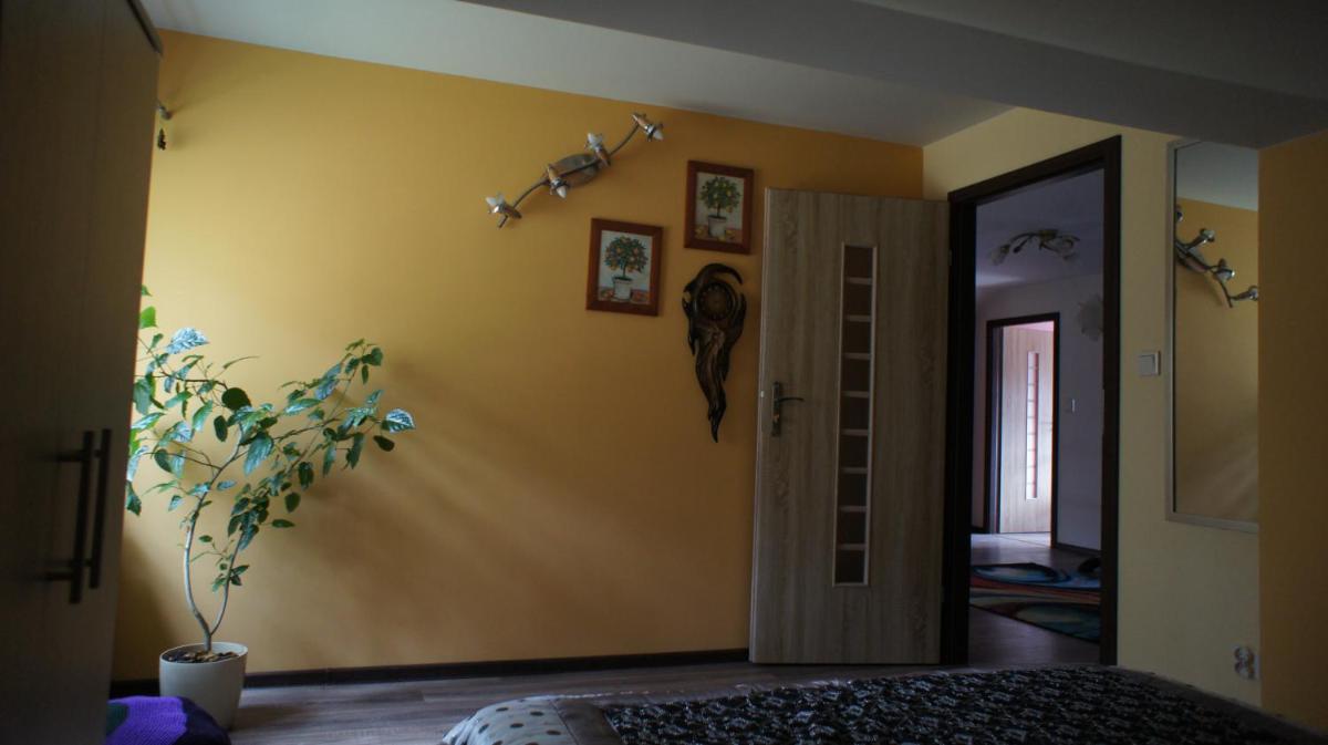 W cieniu sosen - Housity
