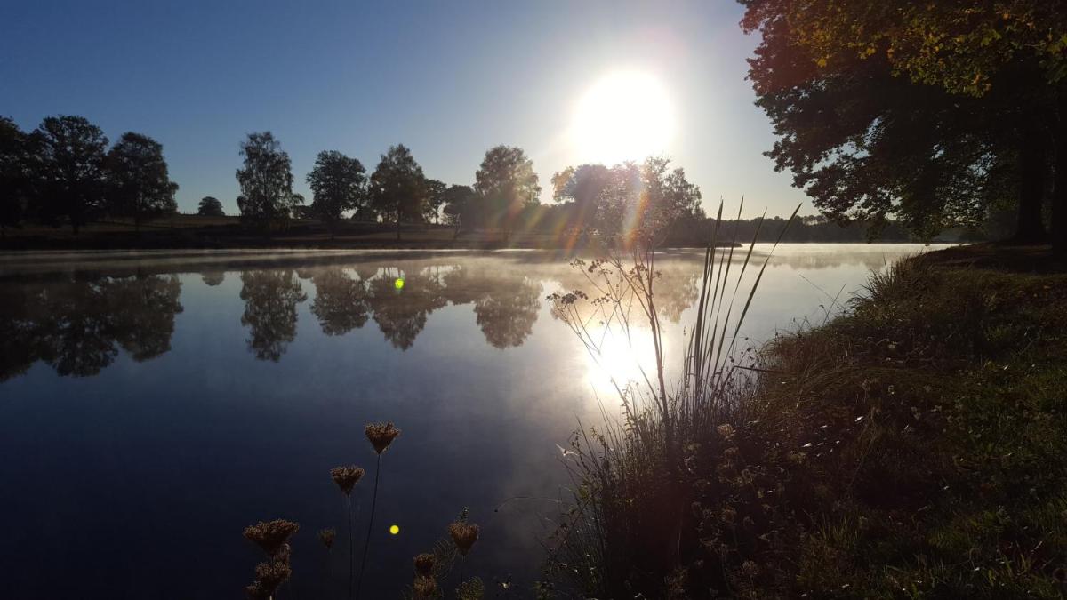 Camping l'Air du Lac*** - Housity