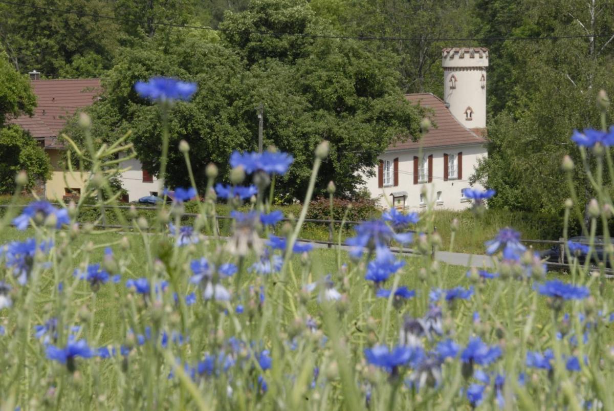 Pension Kastanienhof - Housity