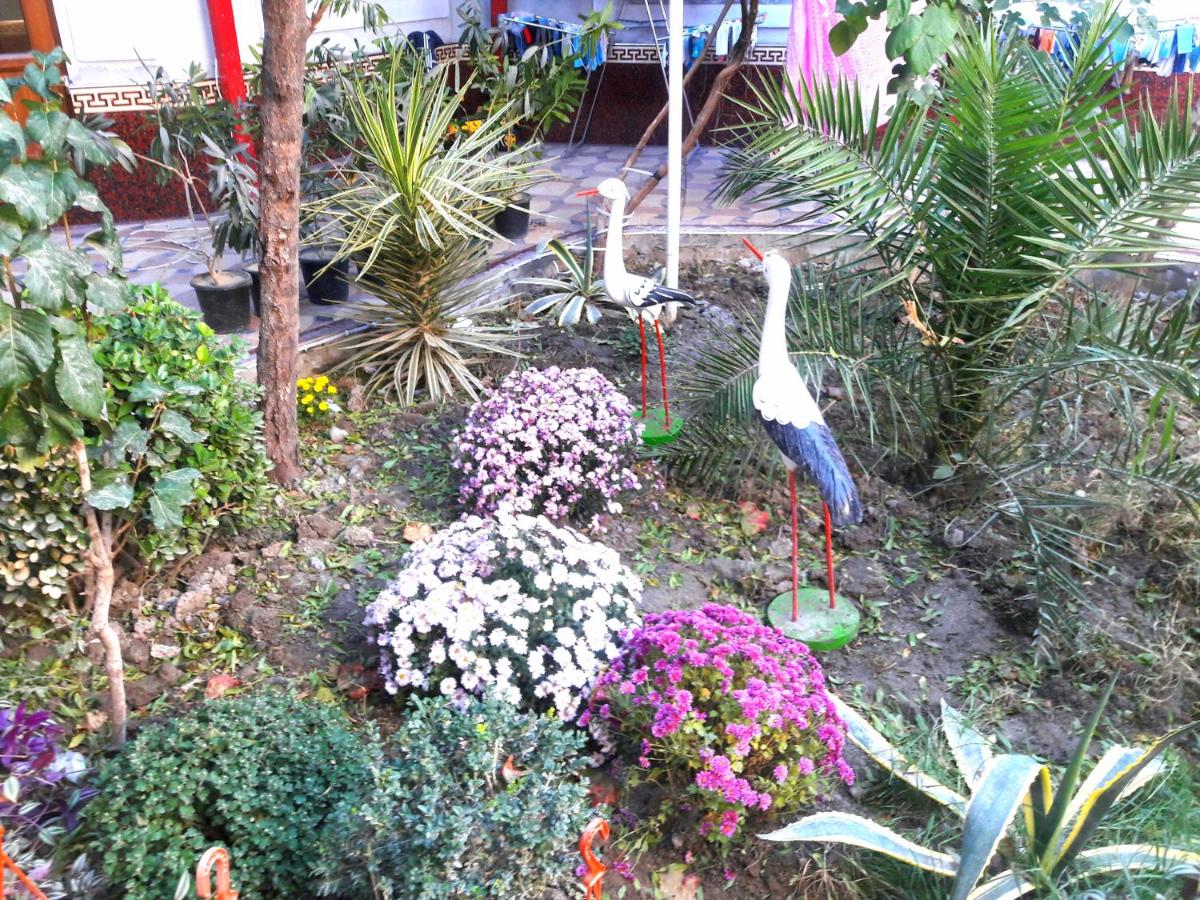 Suitetrails - Hotel Rahmon