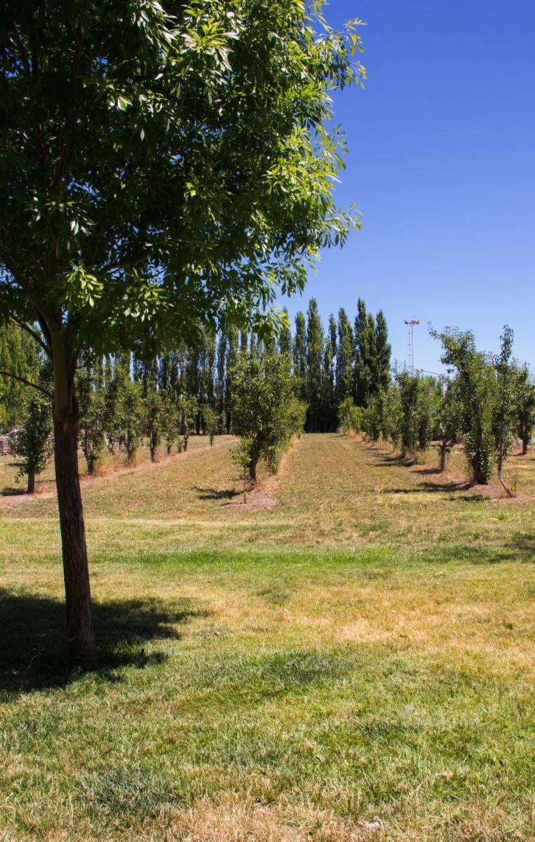 La Quintina - Housity