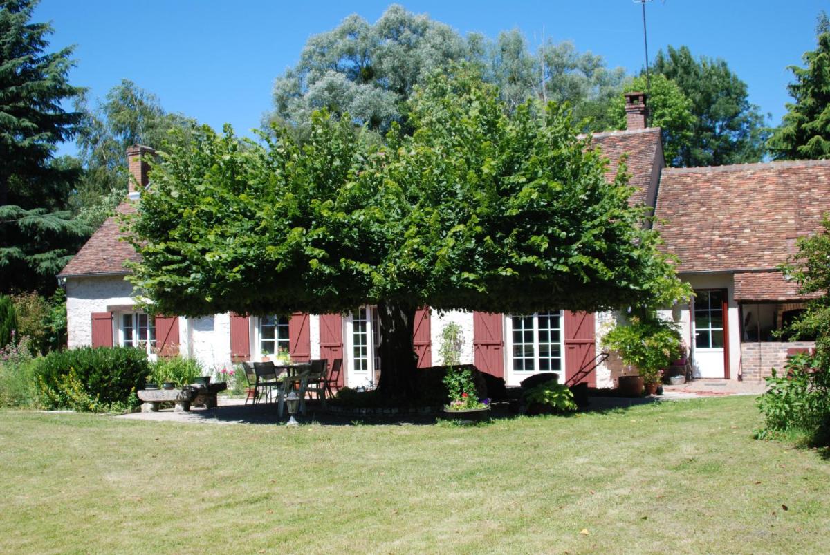 La Petite Marguerite - Housity