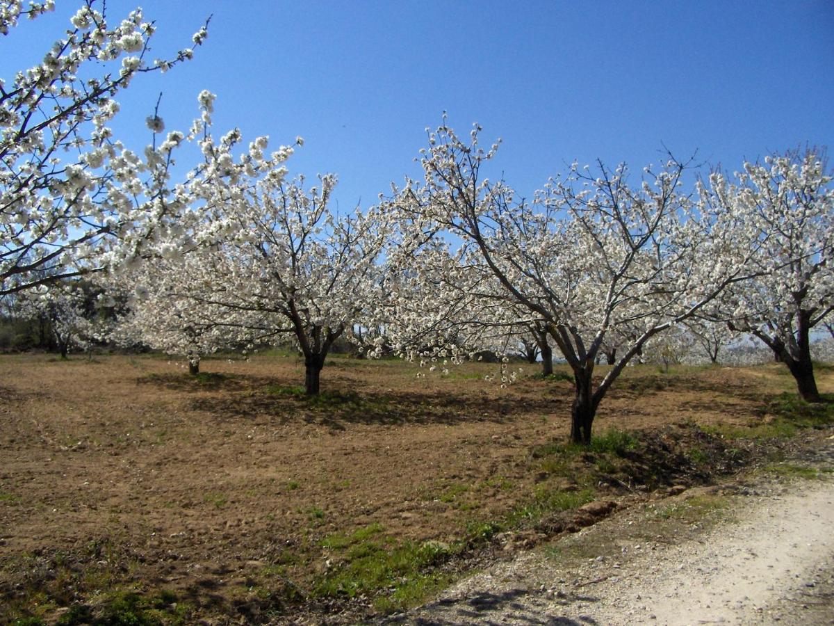 Casa Rural Finca Los Cerezos - Housity