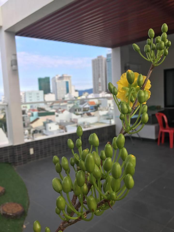 R &amp; R Apartments - Housity
