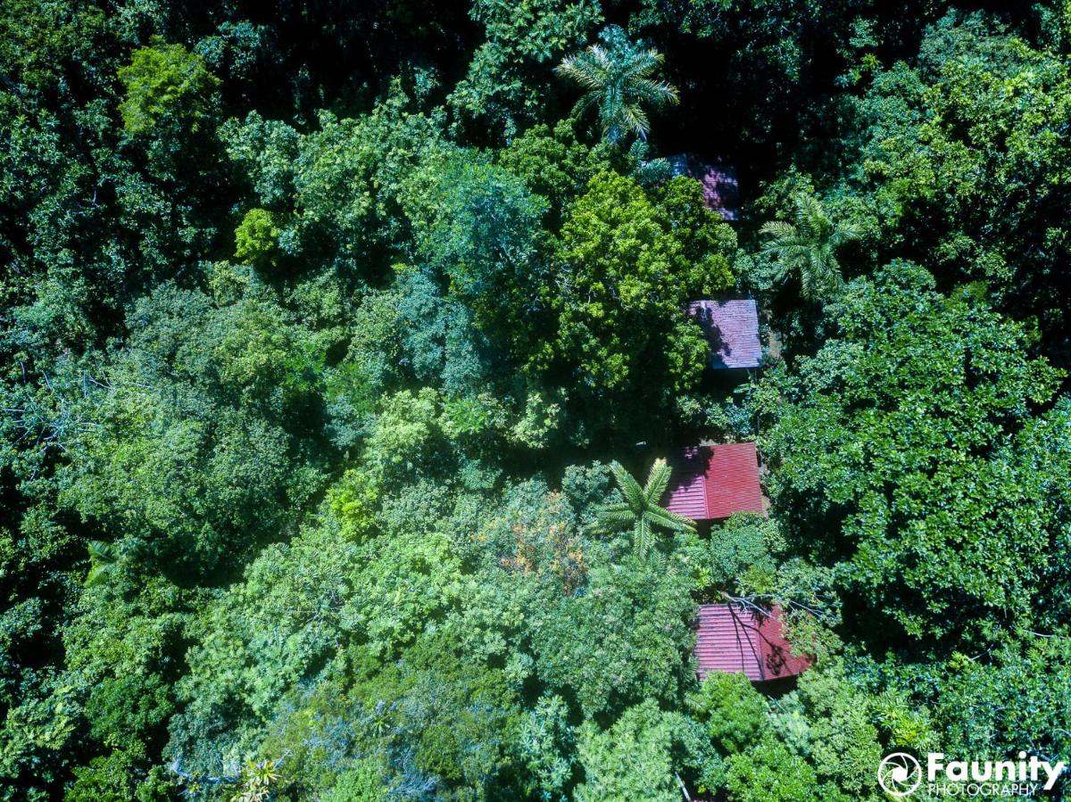 Yatama Rainforest Ecolodge - Housity
