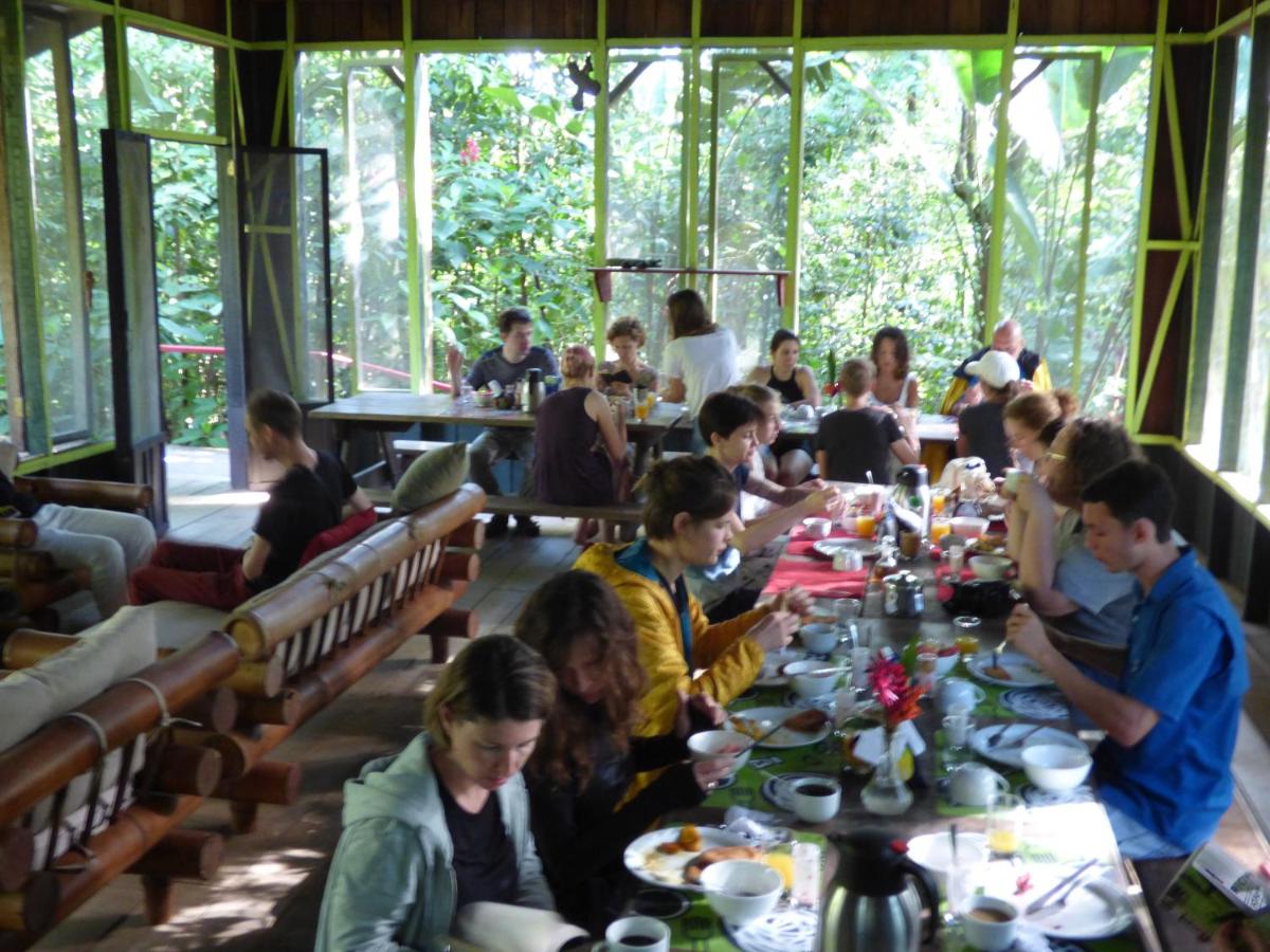 Yatama Rainforest Ecolodge - Housity