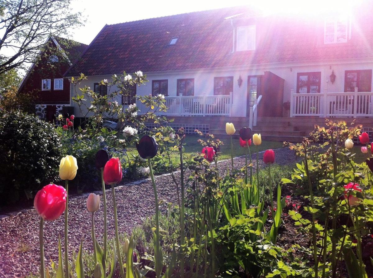 Svanebäcks gård - Housity