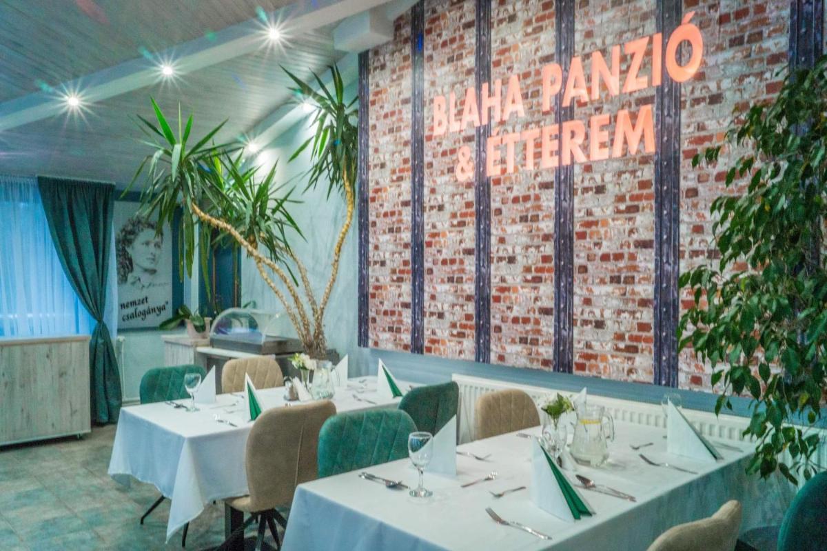Blaha Panzió - Housity