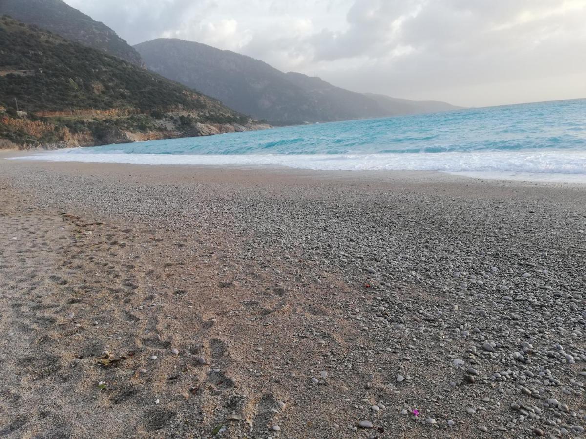 Karbel Beach Hotel - Housity